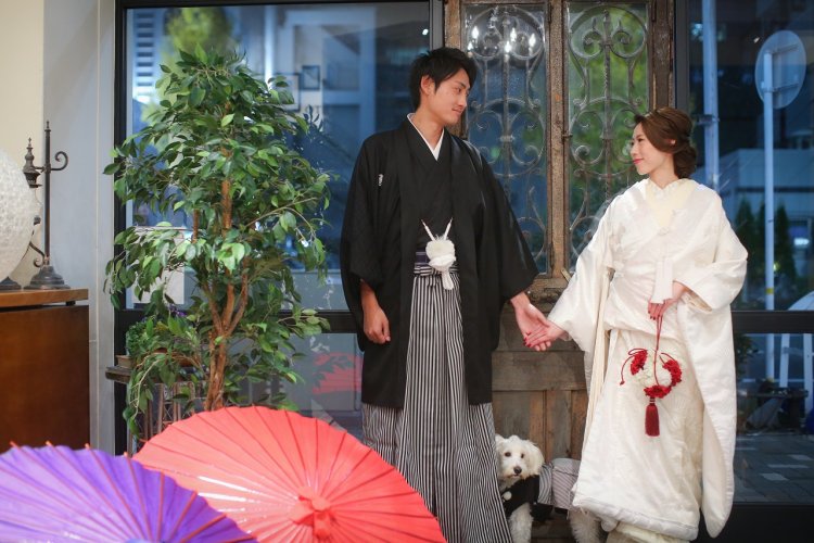 はい！ひょっこりはん