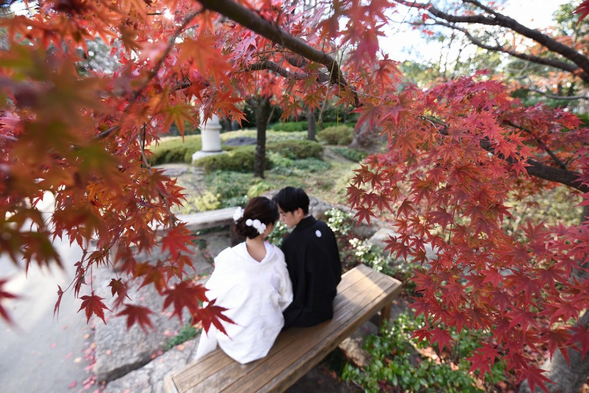 息を吞むほどの美しい紅葉の中で…