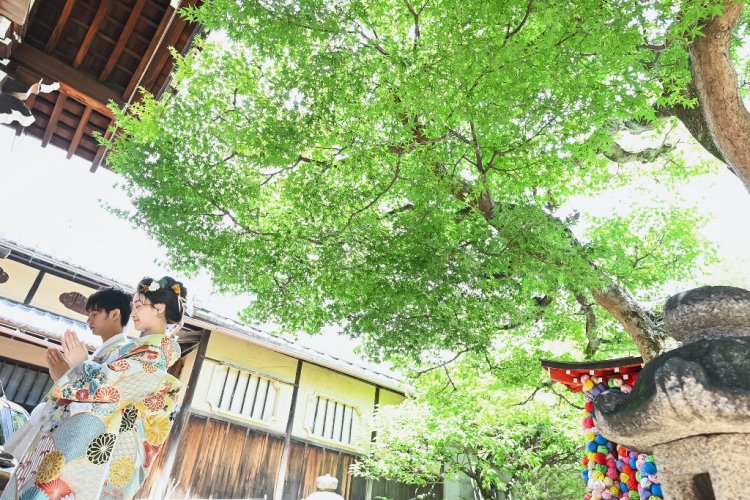 もみじがが本当に着綺麗な前撮り