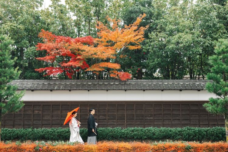 徳川園で紅葉前撮り