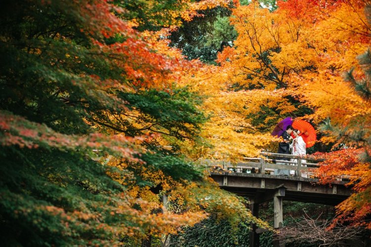 紅葉に囲まれながら見つめ合うお二人