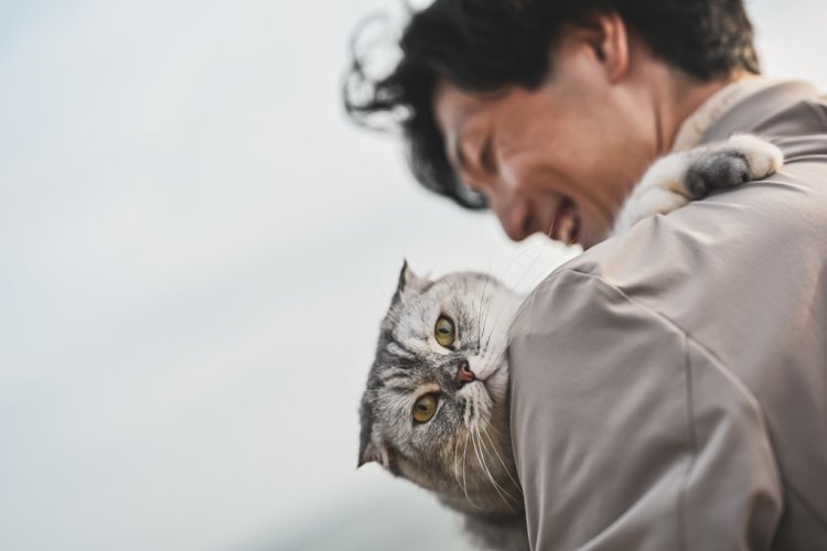 ぼんやりと見つめるにゃんこ