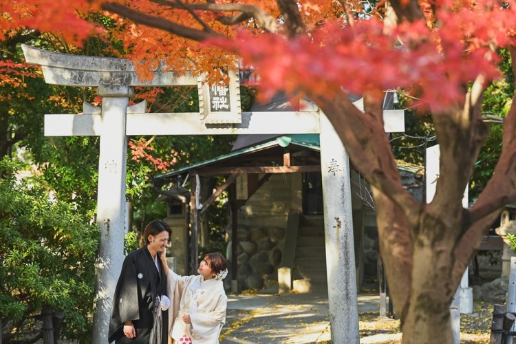 真っ赤に色づいた紅葉の木の下で