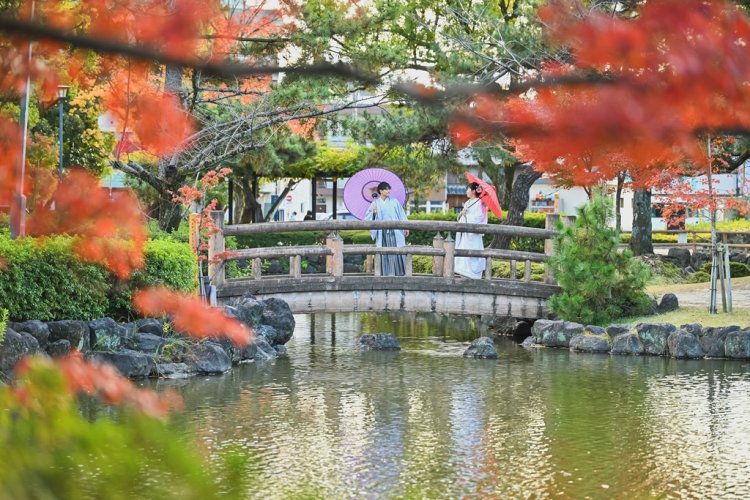 美しい景色をバックにした撮影も