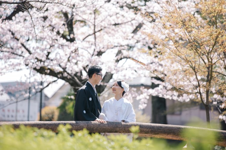 中村公園での桜フォト