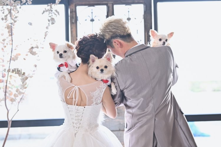 可愛いペットとの撮影も