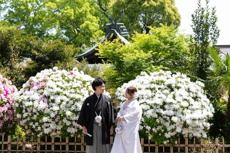 ツツジが満開の中村公園