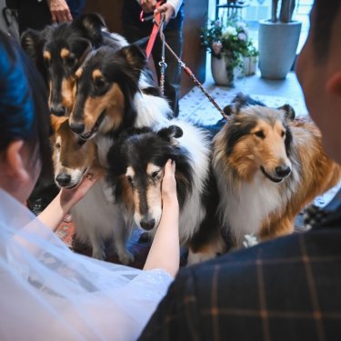 愛犬と撮影2