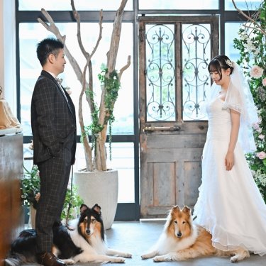 愛犬と前撮り