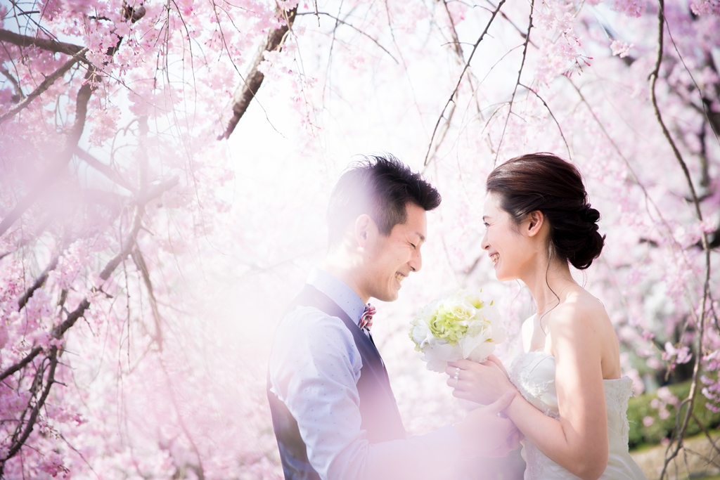 桃色のシャワーを浴びて