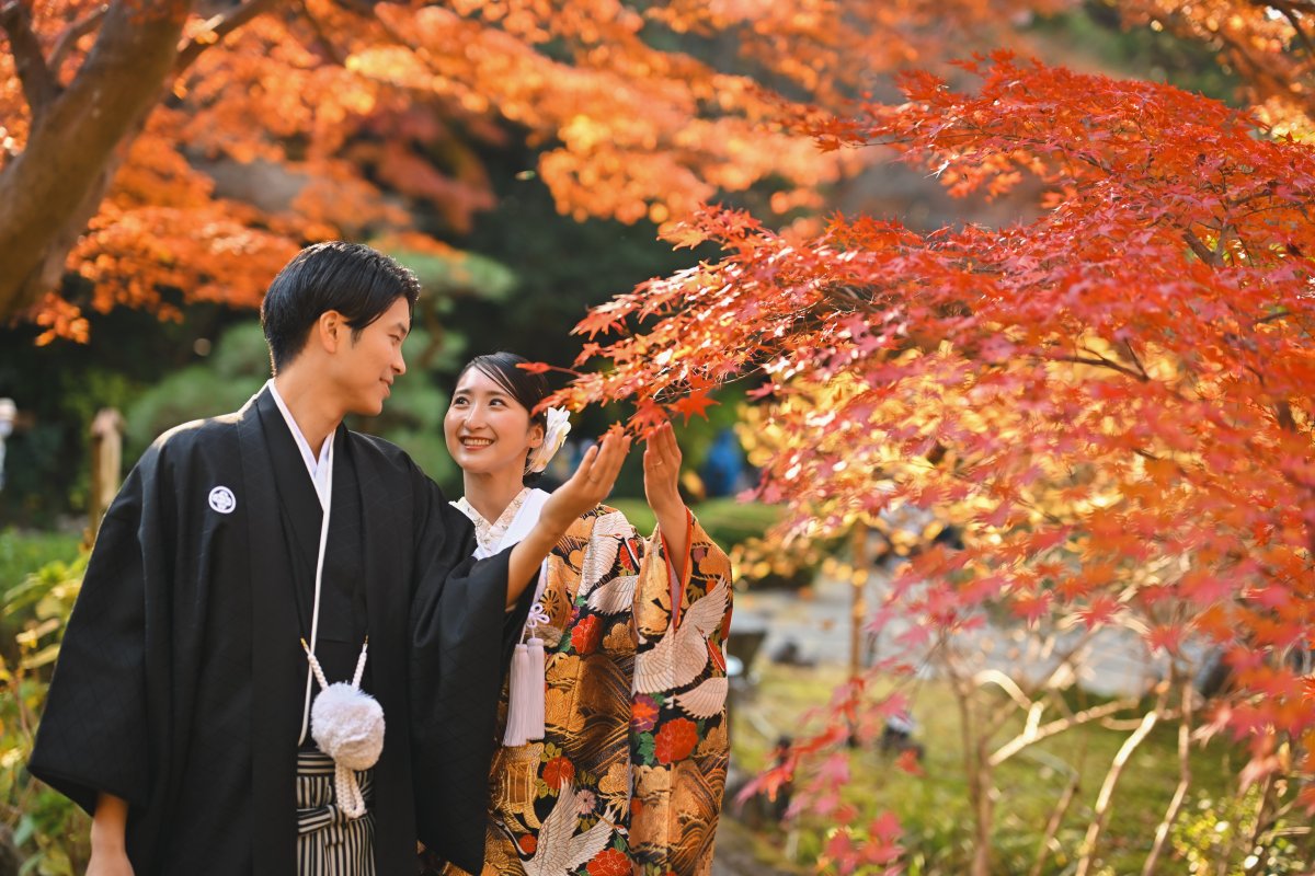 紅葉の下で顔を寄せ合う色打掛の花嫁と紋付袴の新郎、紅葉ロケーションフォト