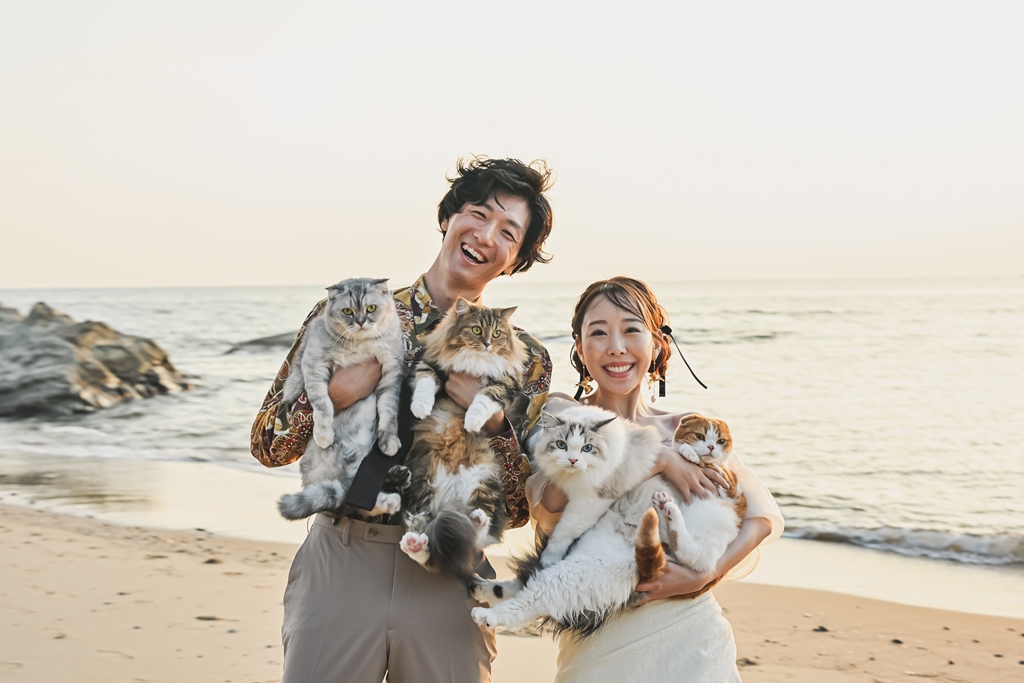 前撮り写真が仕上がったアルバムやフォトパネルのイメージ