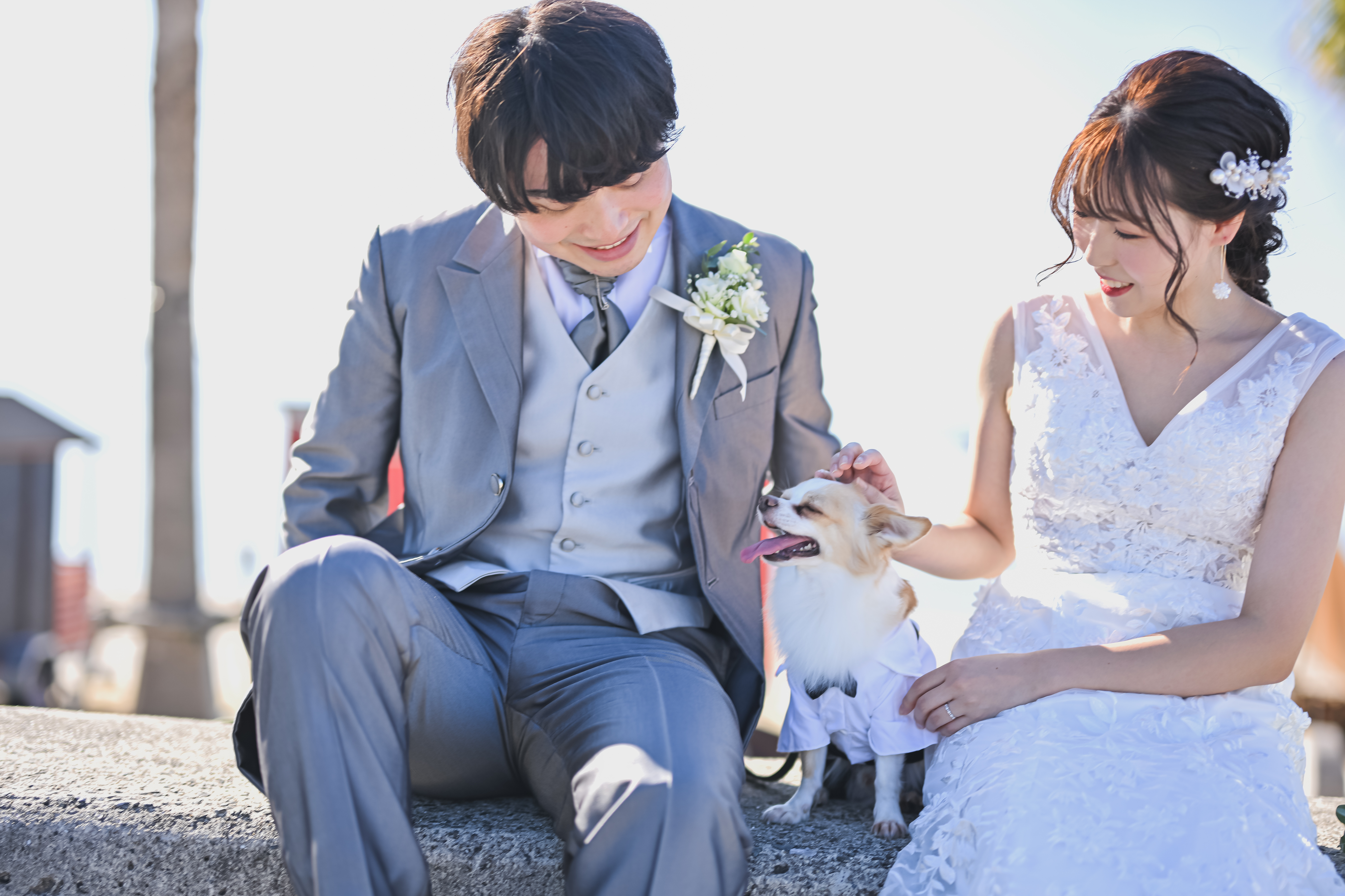 緑豊かな公園ロケーションで新郎新婦と愛犬が並んで写る前撮り写真