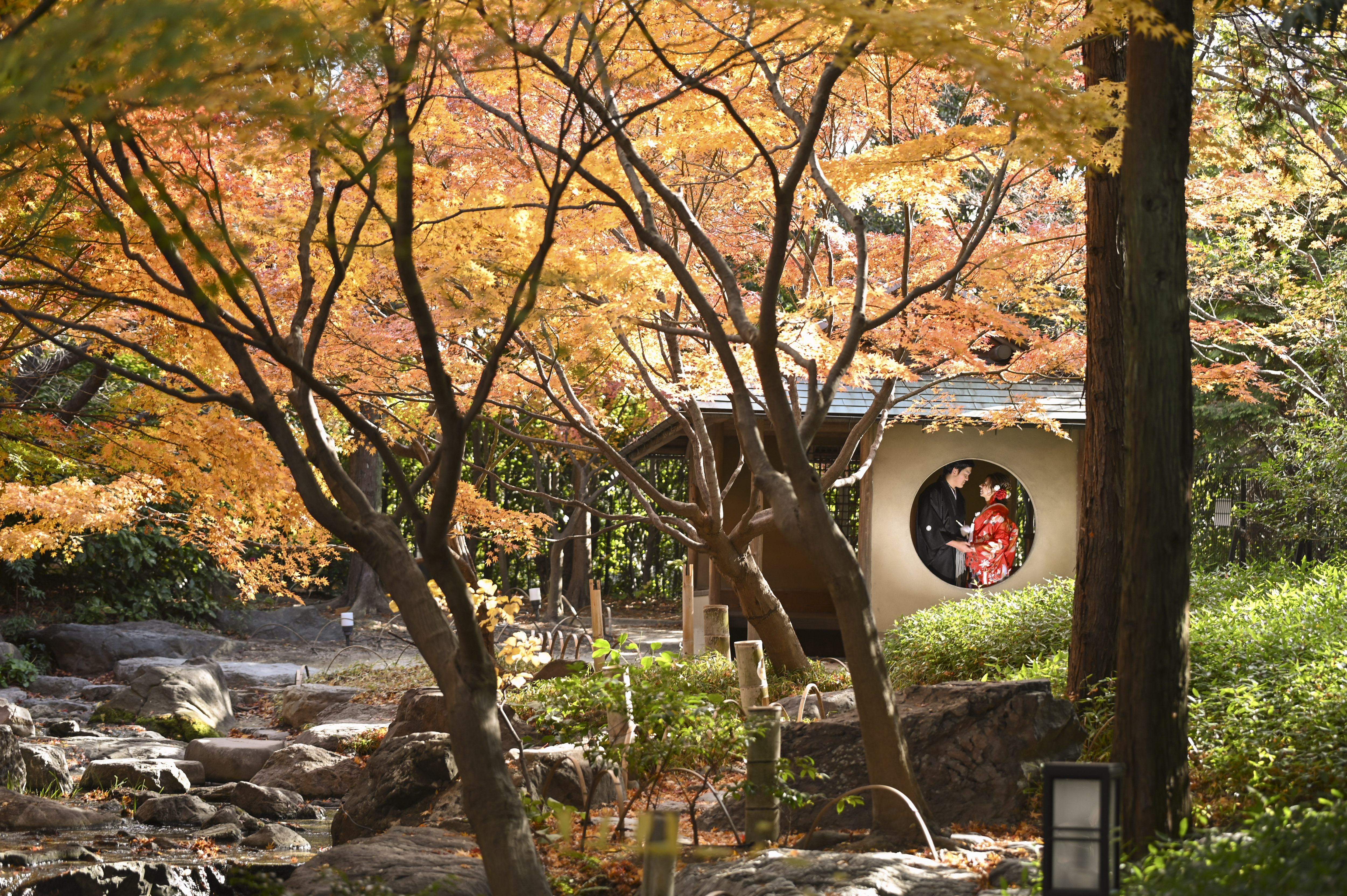白鳥庭園の紅葉と池が美しい景色の中で前撮りをするカップル