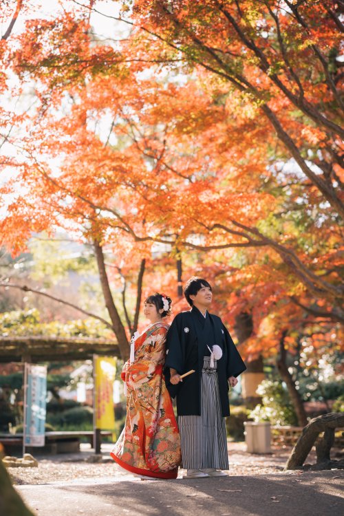 布引ハーブ園の春の花々が咲く風景