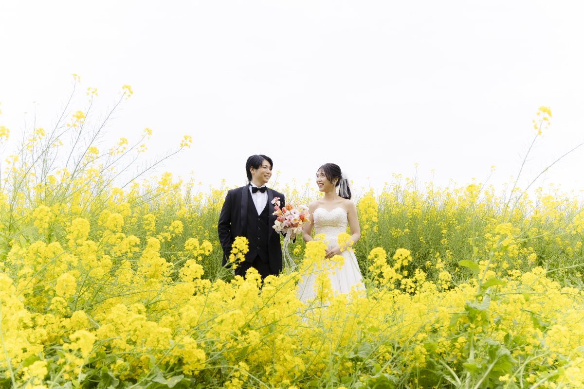 4月に入っても菜の花いっぱい！