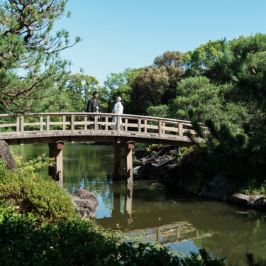 白鳥庭園の池に架かる木の橋に立つ紋付袴の新郎と白無垢の花嫁を、松越しに遠くから写した和装ロケーションフォト