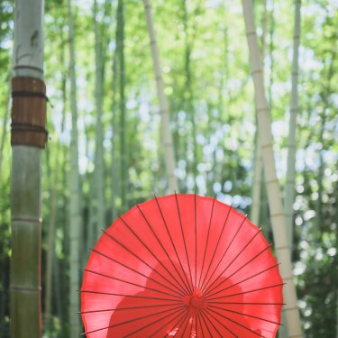 竹林の中で赤い和傘を差す白無垢の花嫁の後ろ姿。緑と赤の対比が美しい和装フォトウェディング